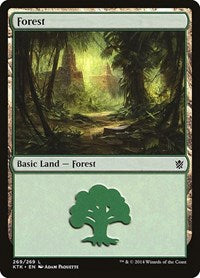 Thumbnail for Forest (269)
