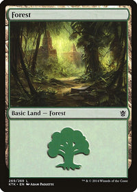 Thumbnail for Forest (269)