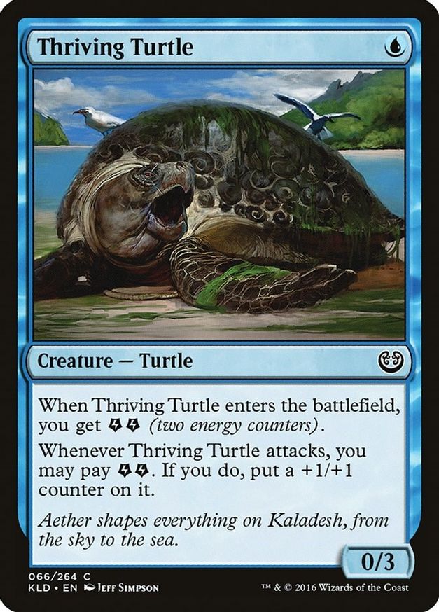 Thriving Turtle | 66