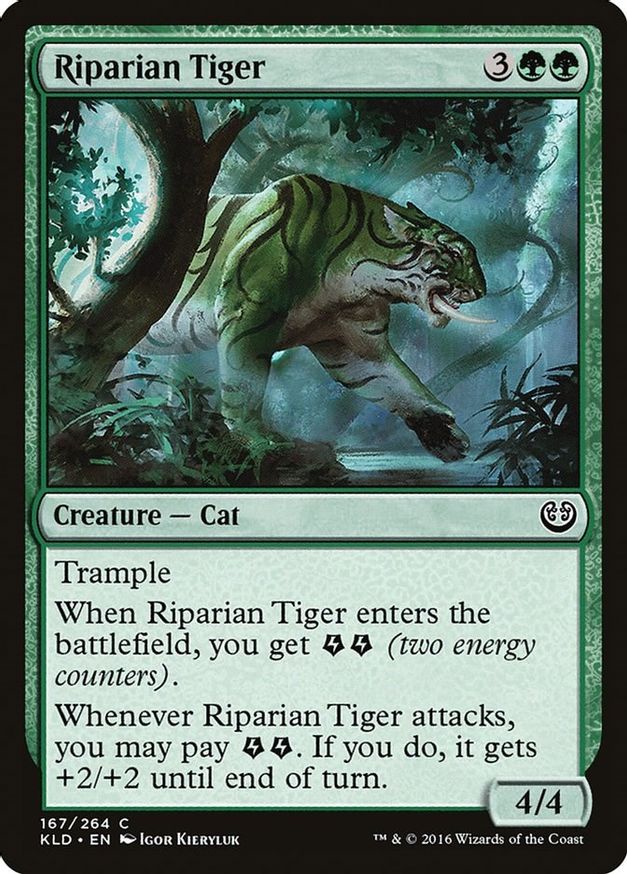 Riparian Tiger | 167