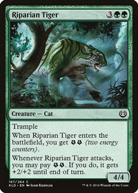 Thumbnail for Riparian Tiger | 167