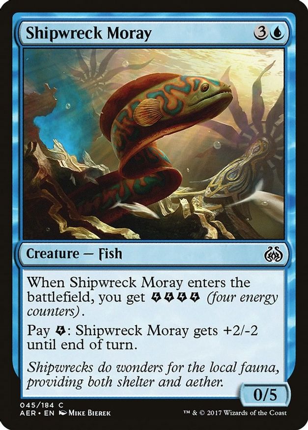 Shipwreck Moray | 45