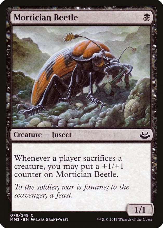 Mortician Beetle | 78