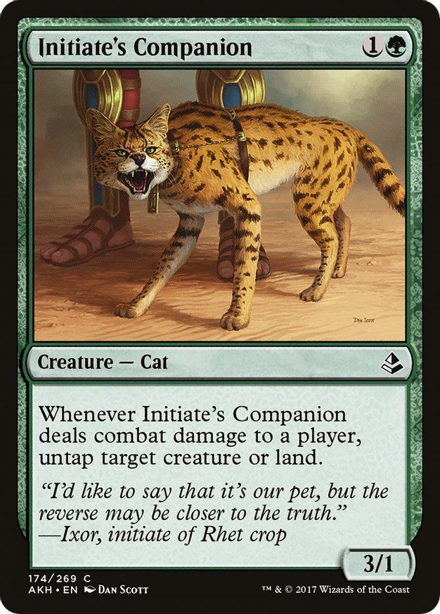 Initiate's Companion | 174