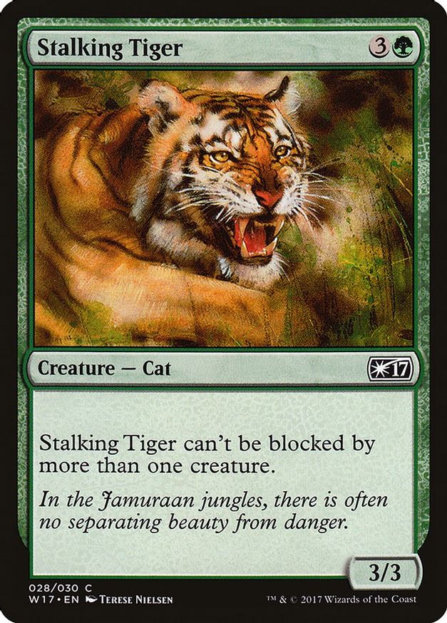 Stalking Tiger | 28