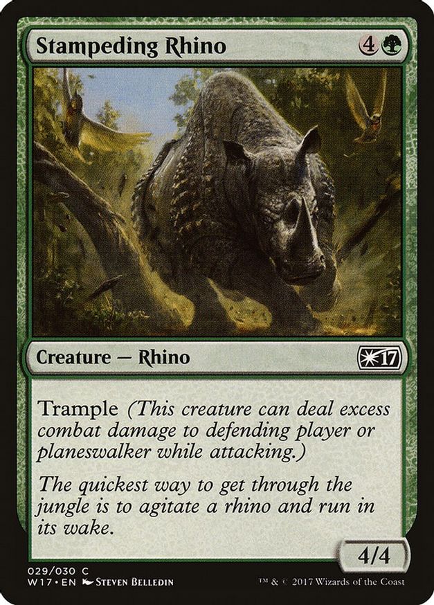 Stampeding Rhino | 29