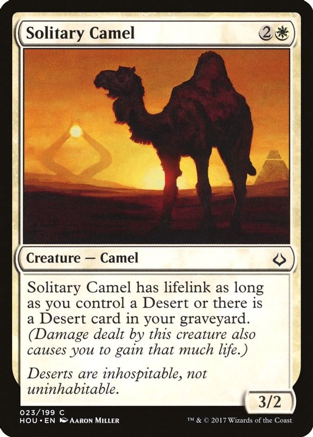 Solitary Camel | 23