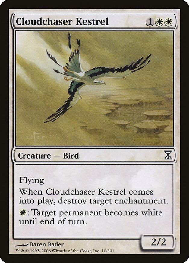 Cloudchaser Kestrel | 10