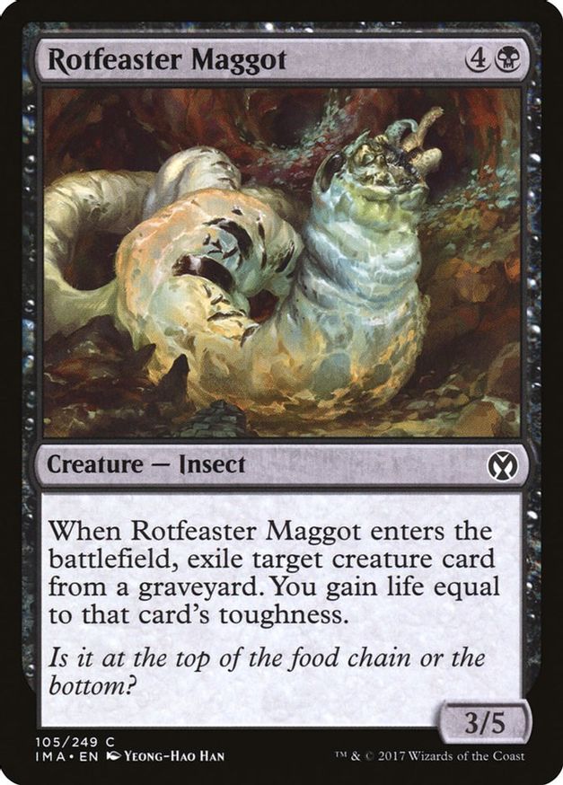 Rotfeaster Maggot | 105