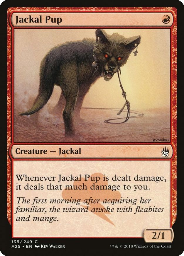 Jackal Pup | 139