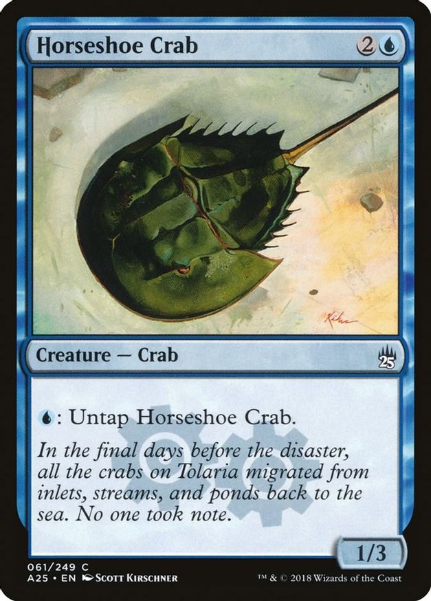 Horseshoe Crab | 61