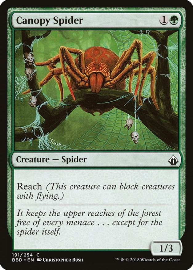 Canopy Spider | 191