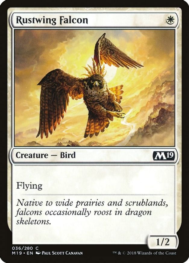 Rustwing Falcon | 36