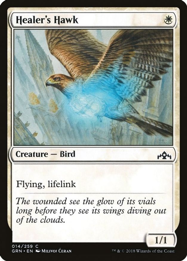 Healer's Hawk | 14