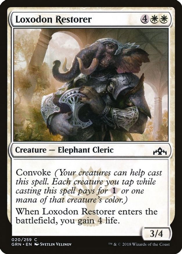 Loxodon Restorer | 20