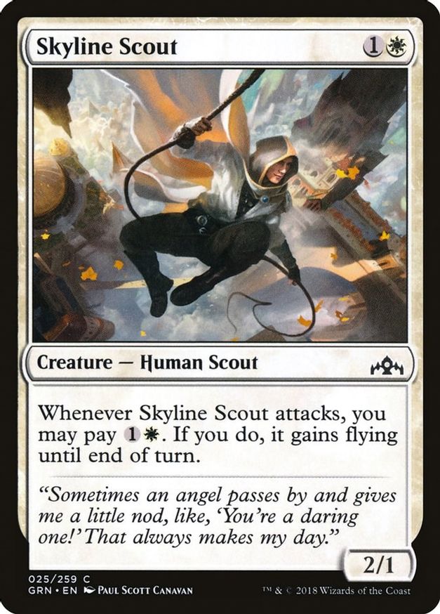 Skyline Scout | 25