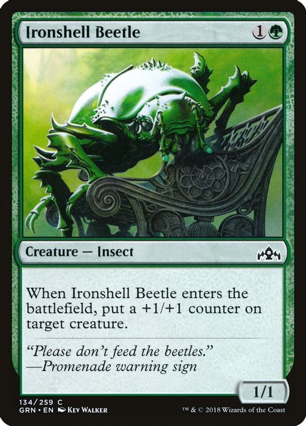 Ironshell Beetle | 134