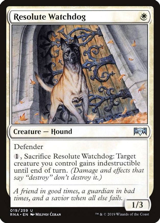 Resolute Watchdog | 19