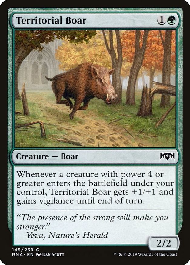 Territorial Boar | 145