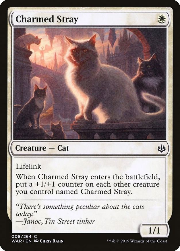 Charmed Stray | 8