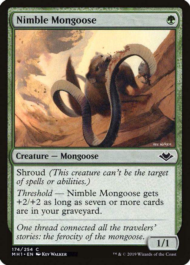 Nimble Mongoose | 174