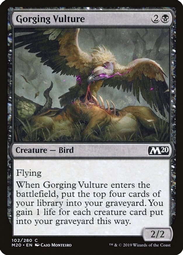 Gorging Vulture | 102