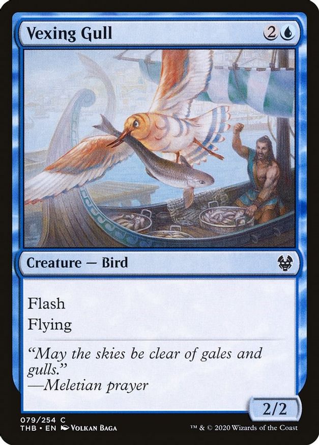 Vexing Gull | 79