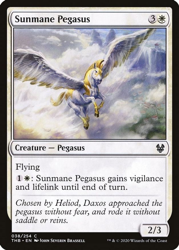 Sunmane Pegasus | 38