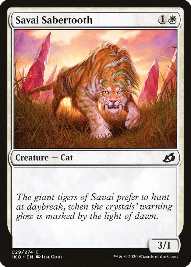 Savai Sabertooth | 29