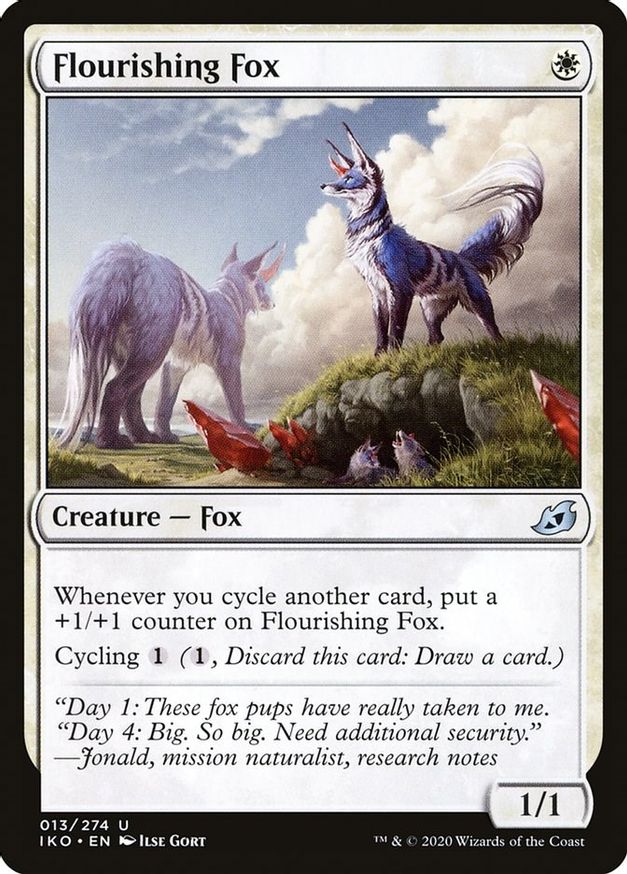 Flourishing Fox | 13