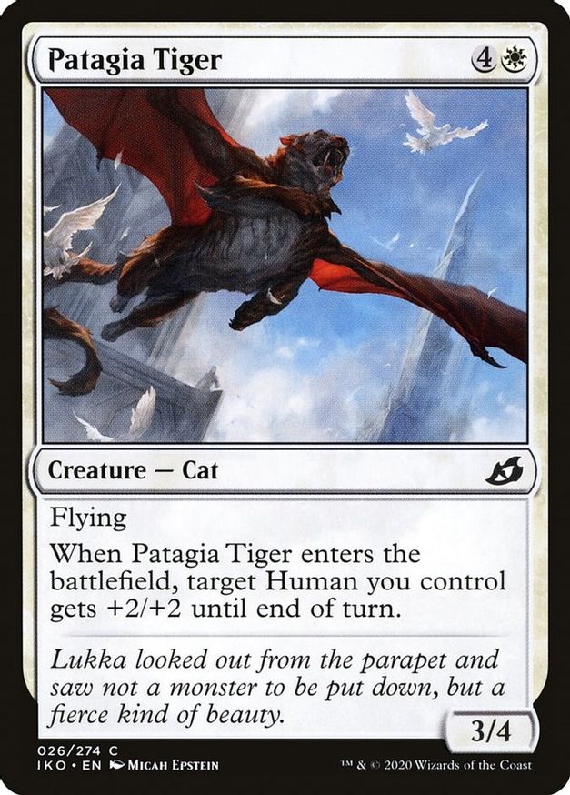 Patagia Tiger | 26