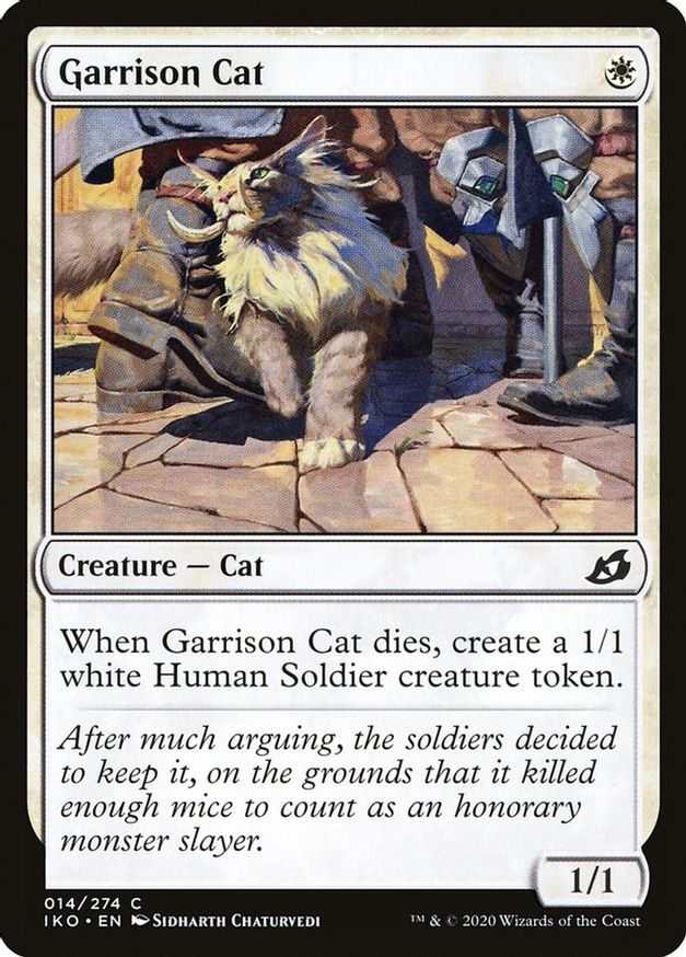 Garrison Cat | 14