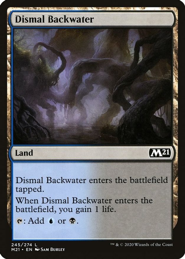 Dismal Backwater | 245