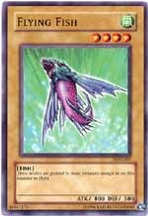 Flying Fish | LON-007