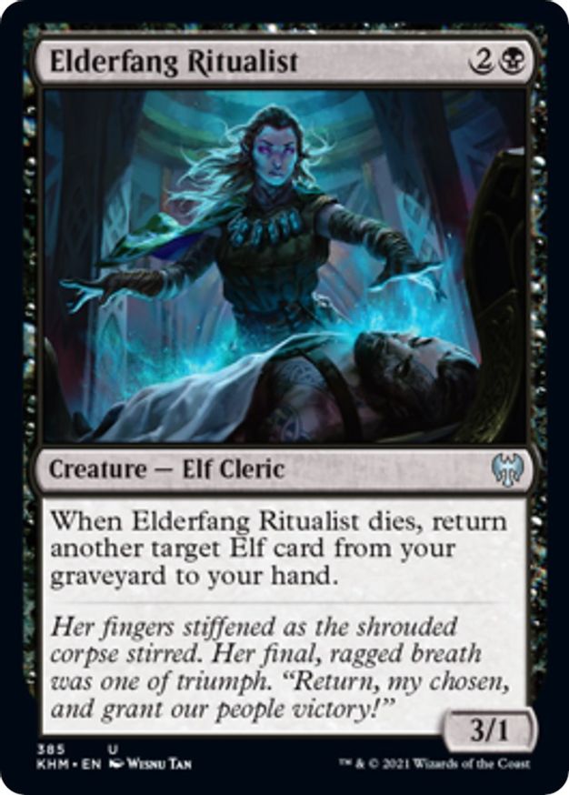 Elderfang Ritualist | 385