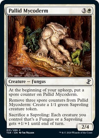 Thumbnail for Pallid Mycoderm | 31