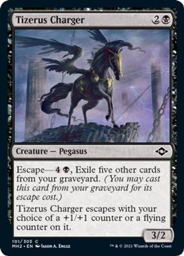 Tizerus Charger | 101