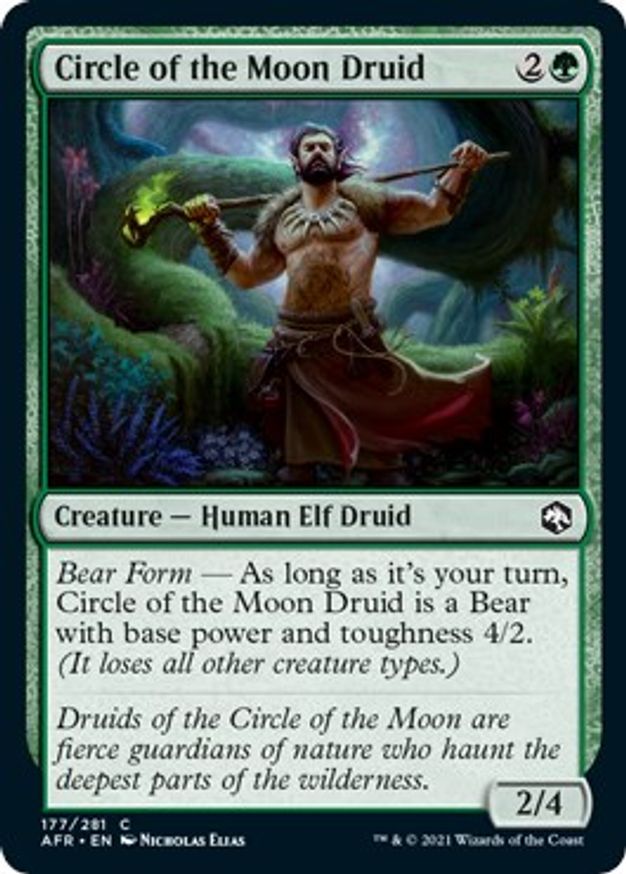 Circle of the Moon Druid | 177