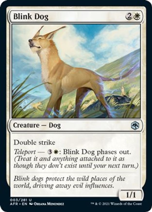 Blink Dog | 3