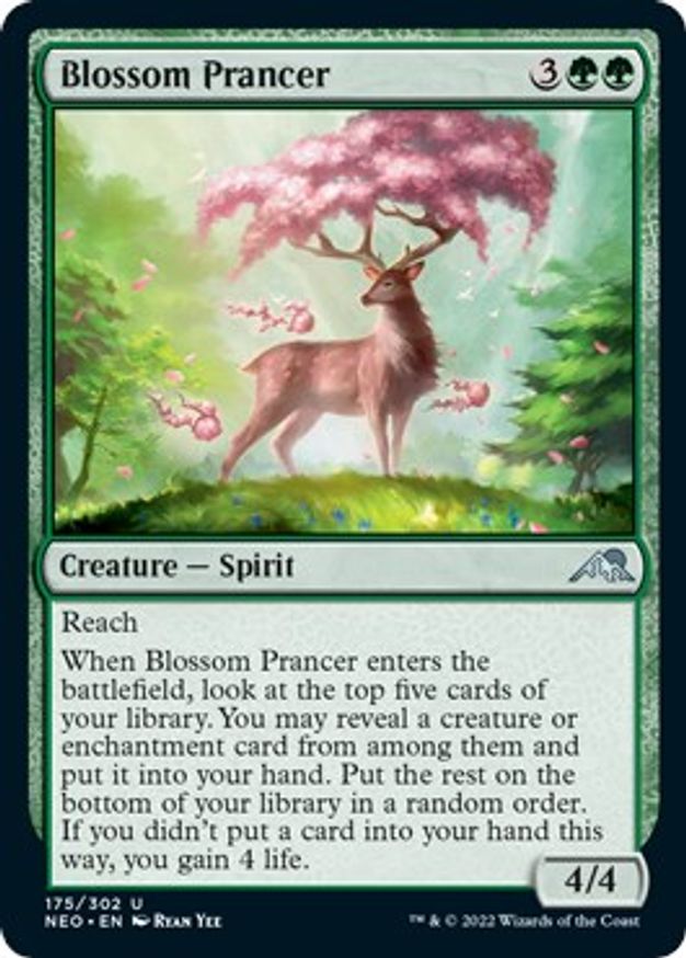 Blossom Prancer | 175