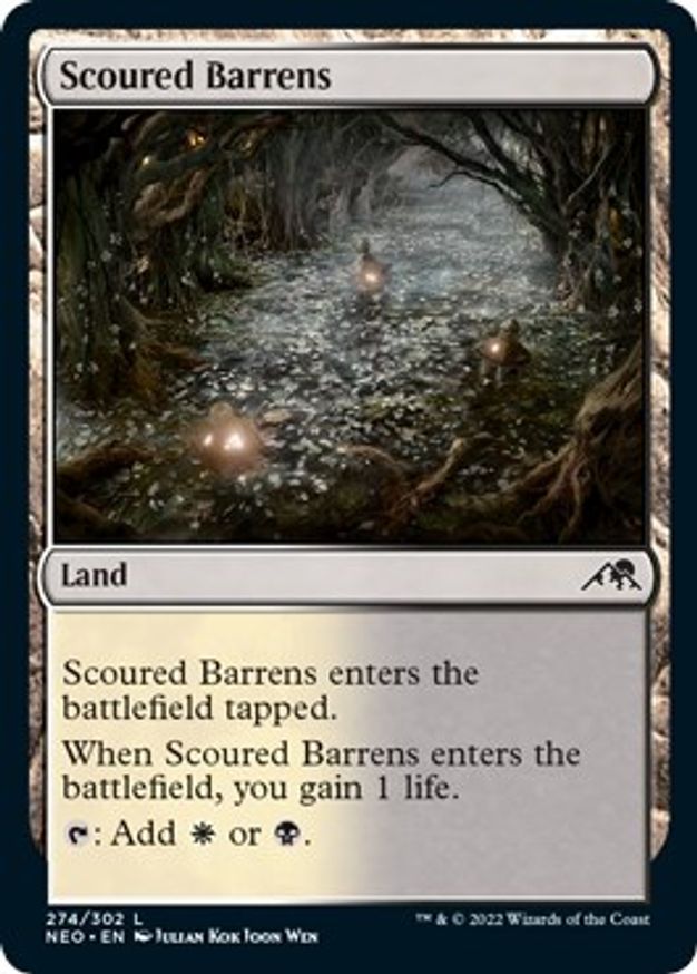 Scoured Barrens | 274