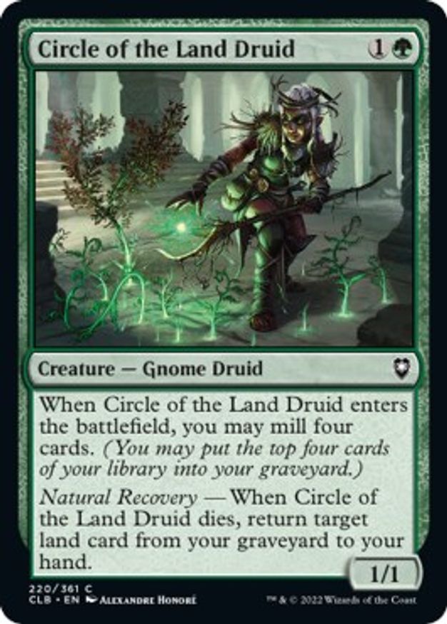 Circle of the Land Druid | 220