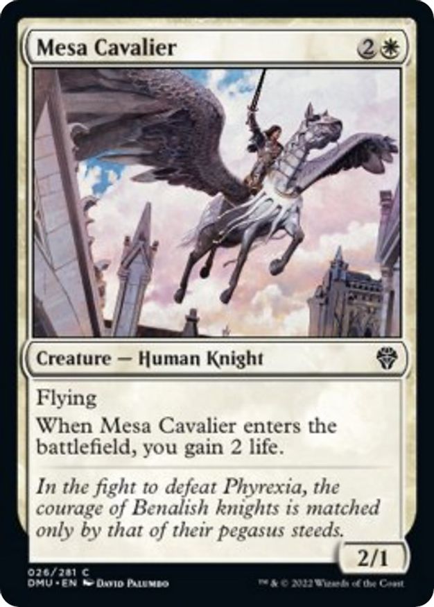 Mesa Cavalier | 26