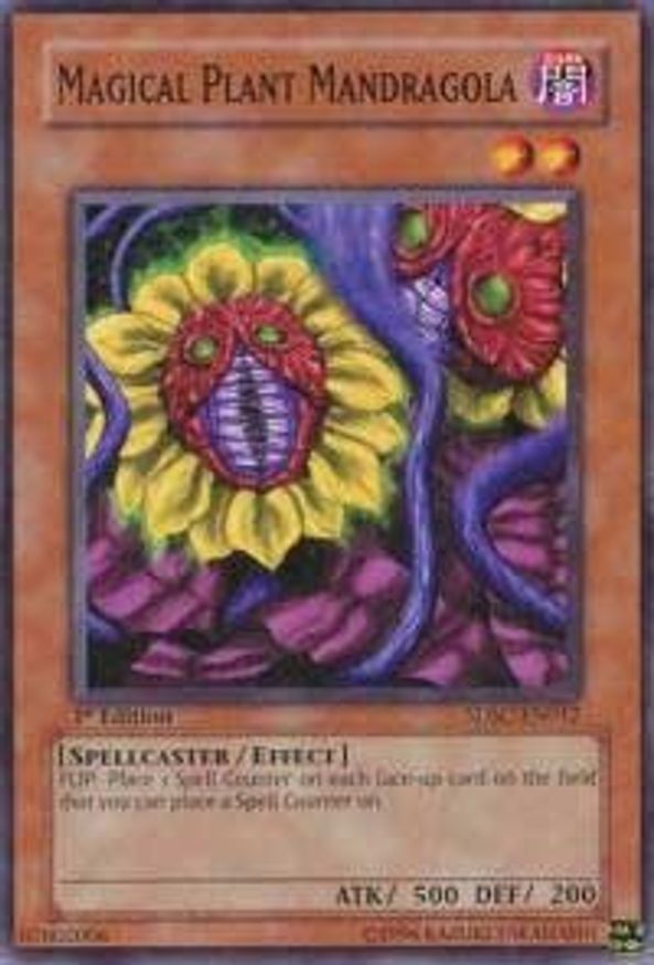 Magical Plant Mandragola | SDSC-EN012