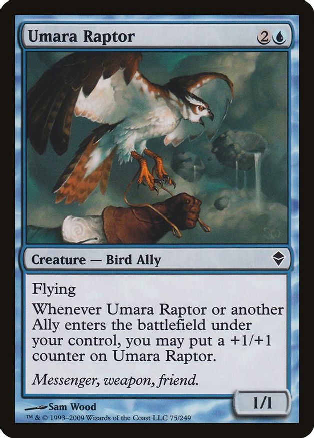 Umara Raptor | 75