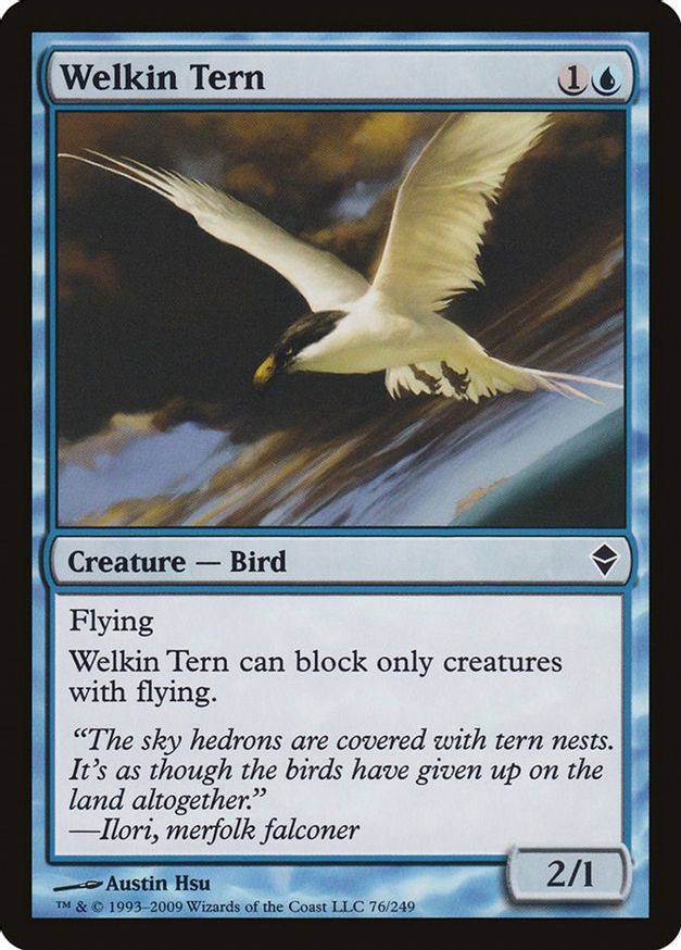 Welkin Tern | 76