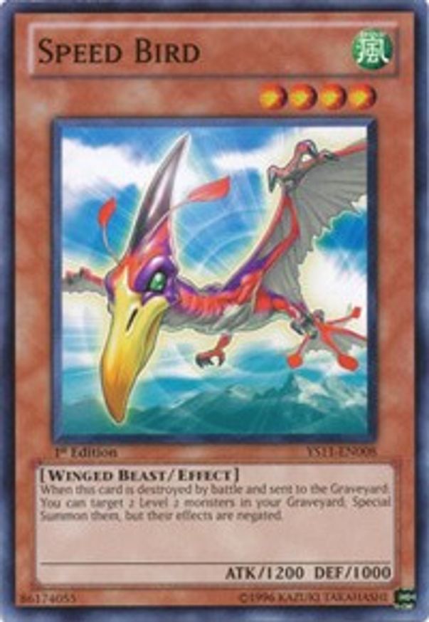 Speed Bird | YS11-EN008