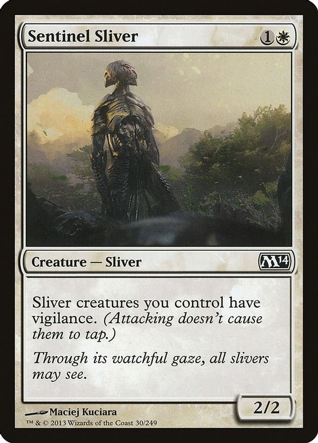 Sentinel Sliver | 30