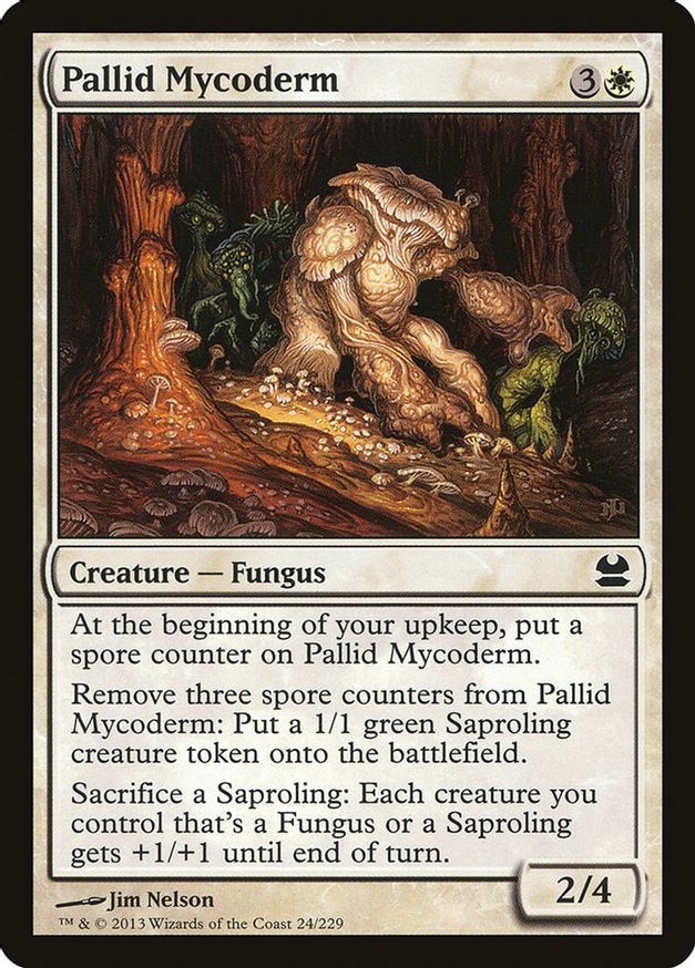 Pallid Mycoderm | 24