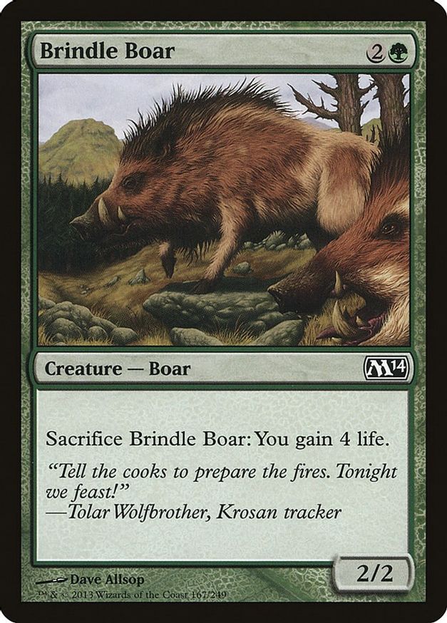 Brindle Boar | 167